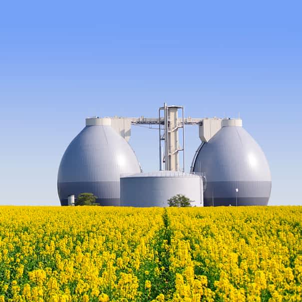 Biogas,Plant,Next,To,A,Yellow,Rape,Field,In,Spring